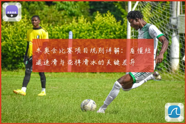 冬奥会比赛项目规则详解:看懂短道速滑与花样滑冰的关键差异