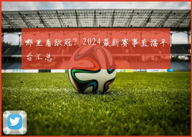 哪里看欧冠？2024最新赛事直播平台汇总