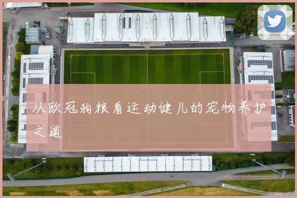 从欧冠狗粮看运动健儿的宠物养护之道