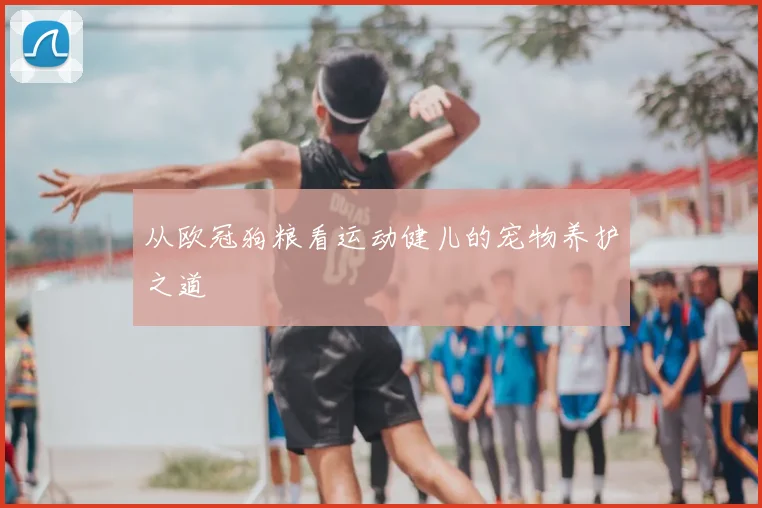 从欧冠狗粮看运动健儿的宠物养护之道