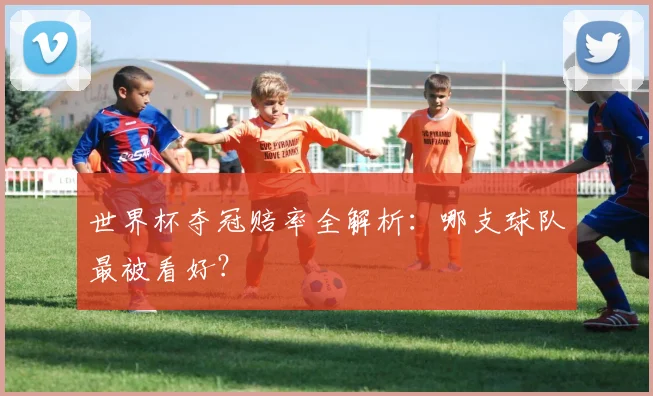 世界杯夺冠赔率全解析：哪支球队最被看好？