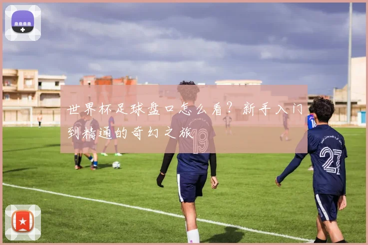 世界杯足球盘口怎么看?新手入门到精通的奇幻之旅