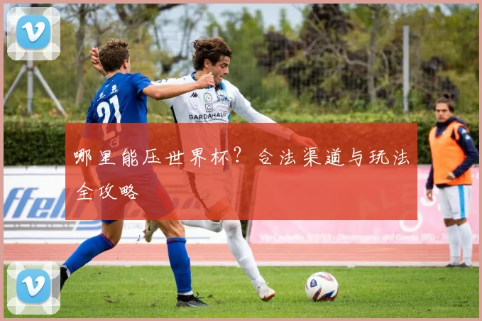 哪里能压世界杯?合法渠道与玩法全攻略