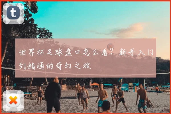 世界杯足球盘口怎么看?新手入门到精通的奇幻之旅