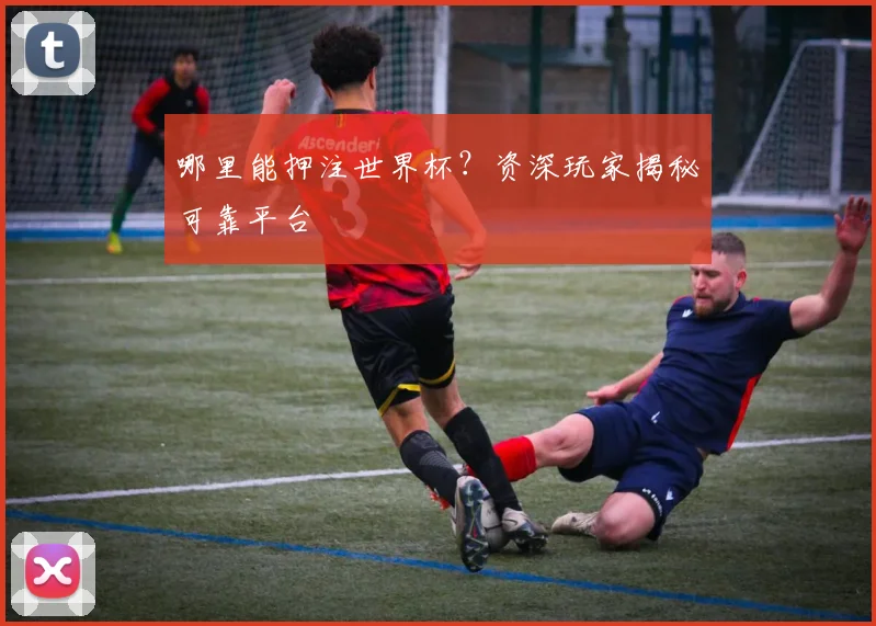 哪里能押注世界杯?资深玩家揭秘可靠平台