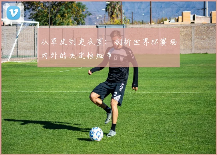 从草皮到更衣室:剖析世界杯赛场内外的决定性细节