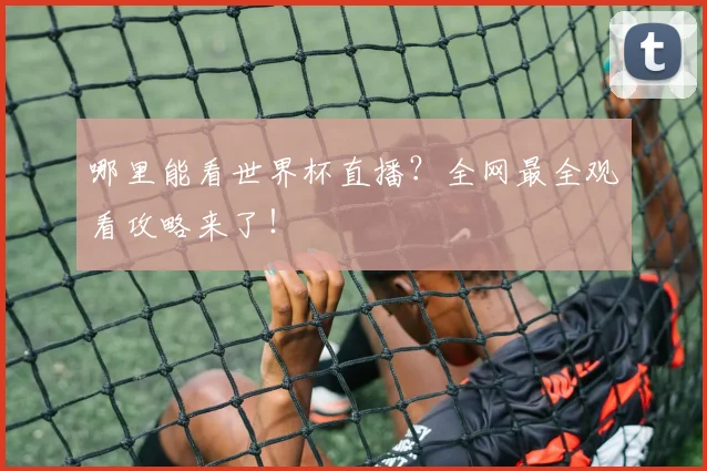 哪里能看世界杯直播？全网最全观看攻略来了！