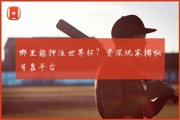 哪里能押注世界杯?资深玩家揭秘可靠平台