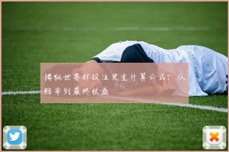 揭秘世界杯投注奖金计算公式：从赔率到最终收益