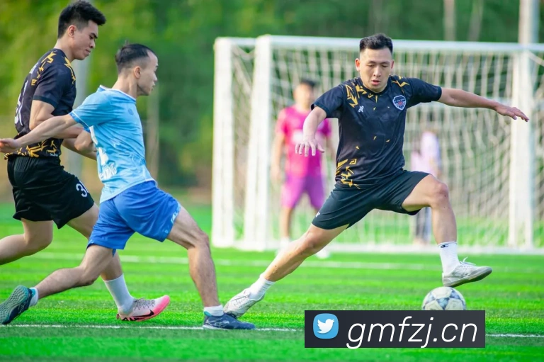 星空体育在线网址APP 封面图